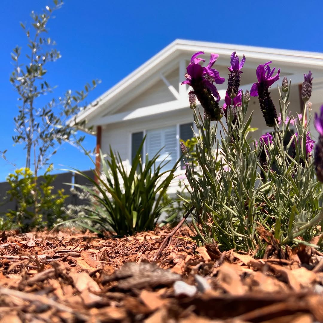 Landscape Construction